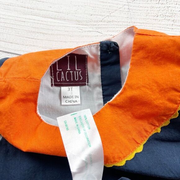 Lil Cactus Sleeveless Thanksgiving Turkey Dress - Picture 2 of 3